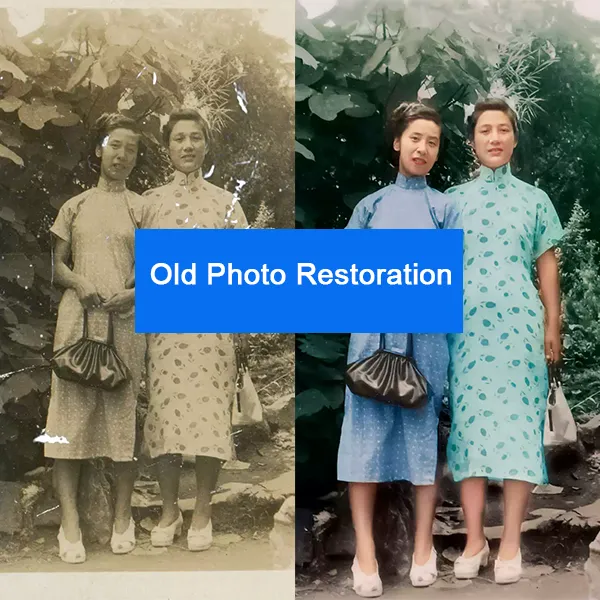 Old Photo Restoration