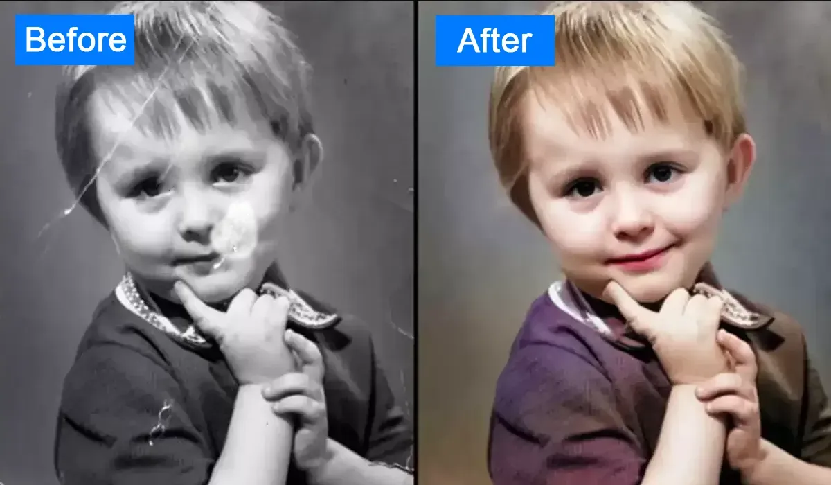 Old Photo Restoration